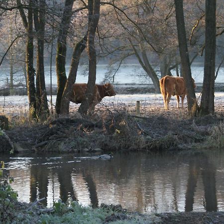 Le Gite De L Ourthe Ortheuville Экстерьер фото