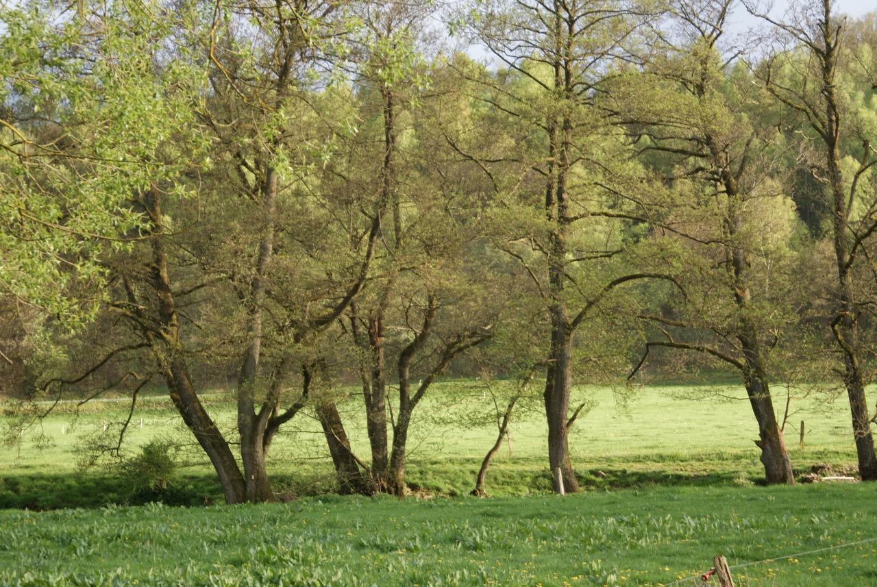 Le Gite De L Ourthe Ortheuville Экстерьер фото